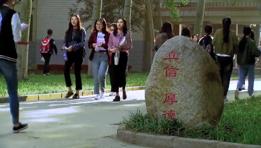 【大学图鉴】河北高校合集